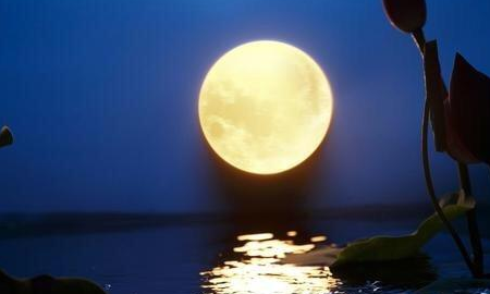 中秋节的佳句美句,关于中秋的精美佳句图4