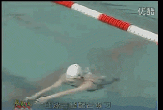 怎样学游泳,怎样才能学会游泳?图15