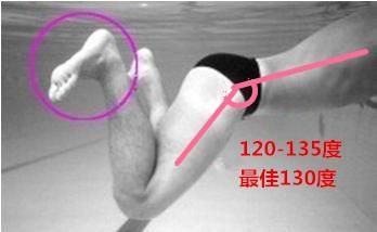 怎样学游泳,怎样才能学会游泳?图2