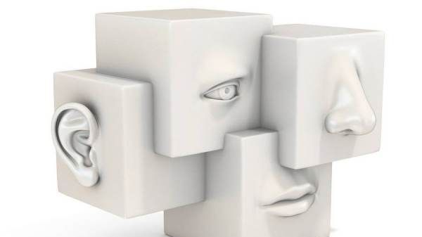 五官之首第一个是什么,人的五官之首是什么图1