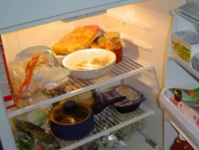 ​饭菜要放凉了才能进冰箱,饭菜是冷了放冰箱还是热的放冰箱