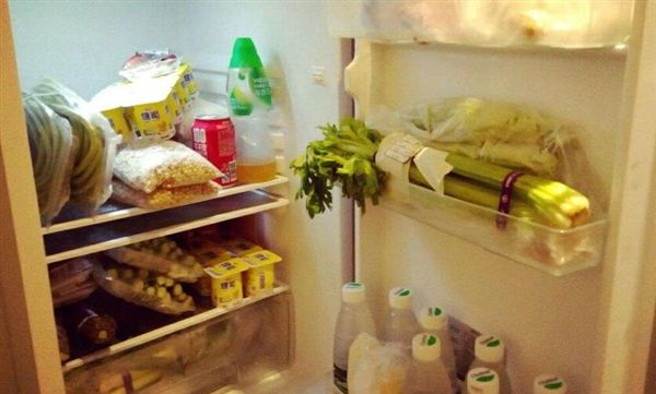 饭菜要放凉了才能进冰箱,饭菜是冷了放冰箱还是热的放冰箱图8