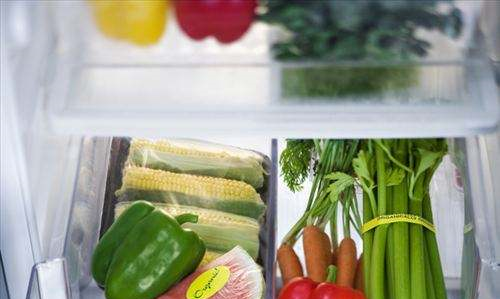 饭菜要放凉了才能进冰箱,饭菜是冷了放冰箱还是热的放冰箱图9