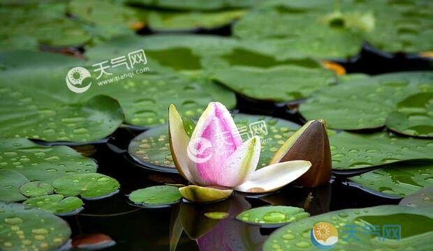 梅雨季节一般在什么时候下