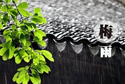 梅雨季节什么时候开始