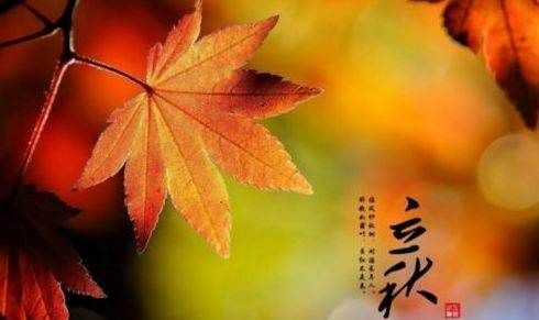 立秋吃什么风俗食物,立秋吃什么传统食物?图6