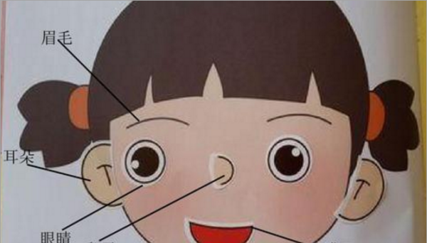 人的五官指的是哪些,人的五官指的是哪五官?图1