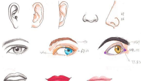 人的五官是什么?有哪些?