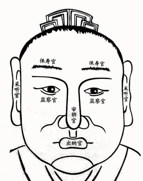 人的五官是指哪五官