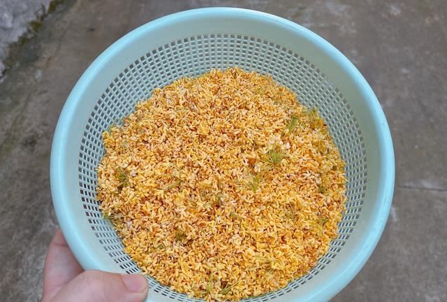 所有的桂花都可以吃吗