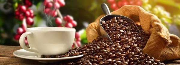 咖啡怎么炒制,生咖啡豆怎么炒视频图8