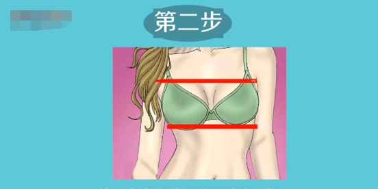 内衣尺寸表 对照表,文胸尺码对照表图5