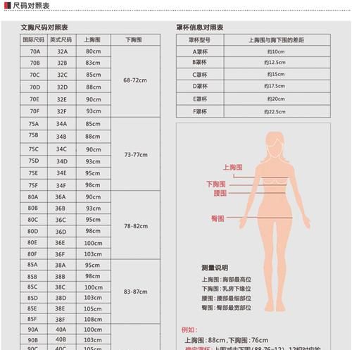 内衣尺寸表 对照表:文胸32