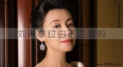 ​刘琳拿过白玉兰奖吗（刘琳国家级演员）