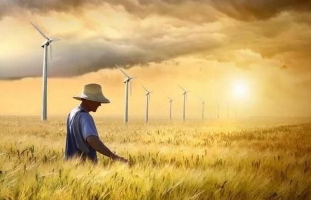 今年立秋是哪天，对于每年的立秋秋不来现象，大家有什么看法？今年的具体立秋时间是什么时候？图8