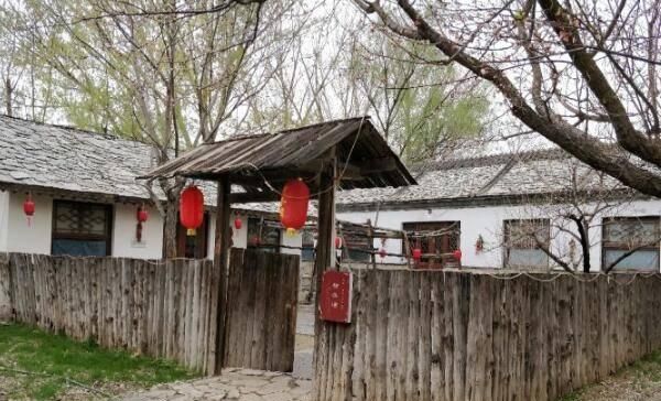 南岭村为什么是中国第一村,深圳南岭村是靠什么发展创富的?图3