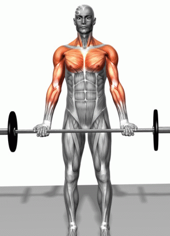 碳水化合物食物一览表，挨饿荒野中的碳水化合物食物有哪些？图6