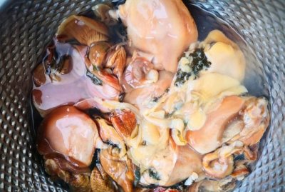 ​河蚌怎么处理，新鲜海蚌怎么处理？