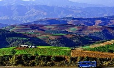 ​东川省是哪里,巡回检查组东川省在哪里