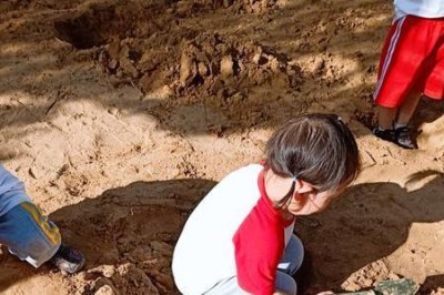 ​萝卜坑是什么意思