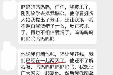 你太坏了什么 意思