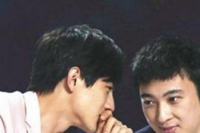 ​王思聪多大年纪属什么