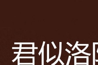 ​小说洛阳讲的是什么