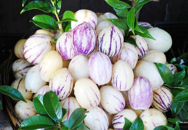 人参果汤正确吃法