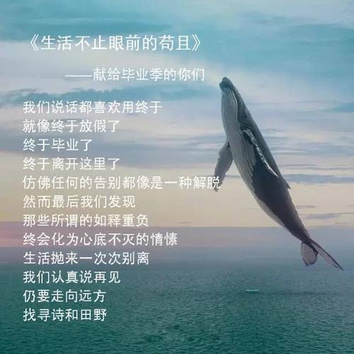 生活不止眼前的苟且是什么意思