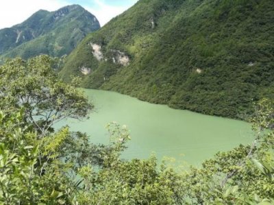 ​巫溪论坛同乐吧(巫溪网论坛)