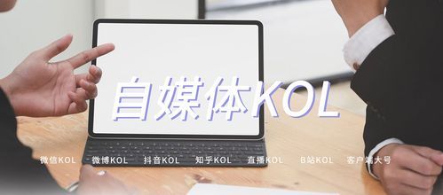 自媒体kol是什么意思