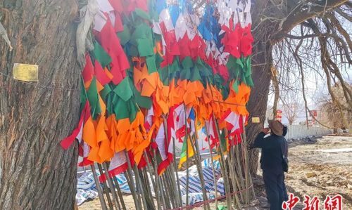 扎西德勒什么意思啊:藏语的“扎西德勒”是什么意思