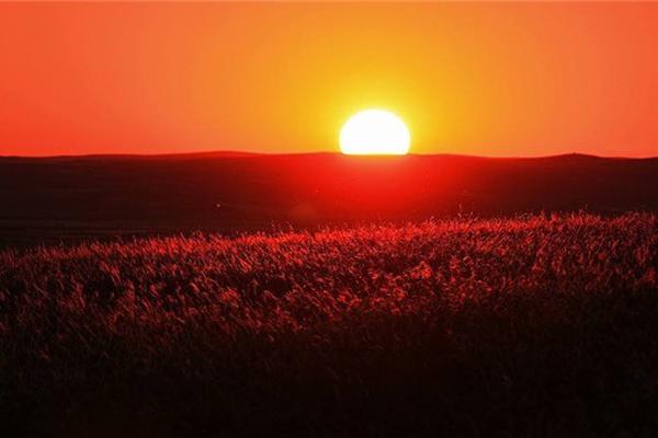 夕阳无限好 只是近黄昏是谁的诗句(李商隐因心情不好,驾车出行写下《乐游原》)