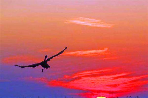 夕阳无限好 只是近黄昏是谁的诗句(李商隐因心情不好,驾车出行写下《乐游原》)