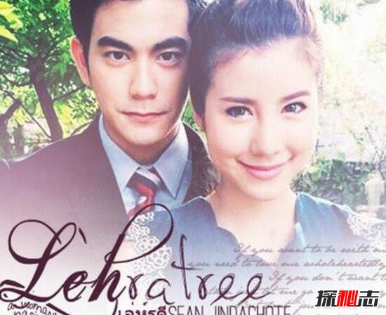 豆瓣经典泰剧排行榜前十名,豆瓣评分最高的十部电视剧