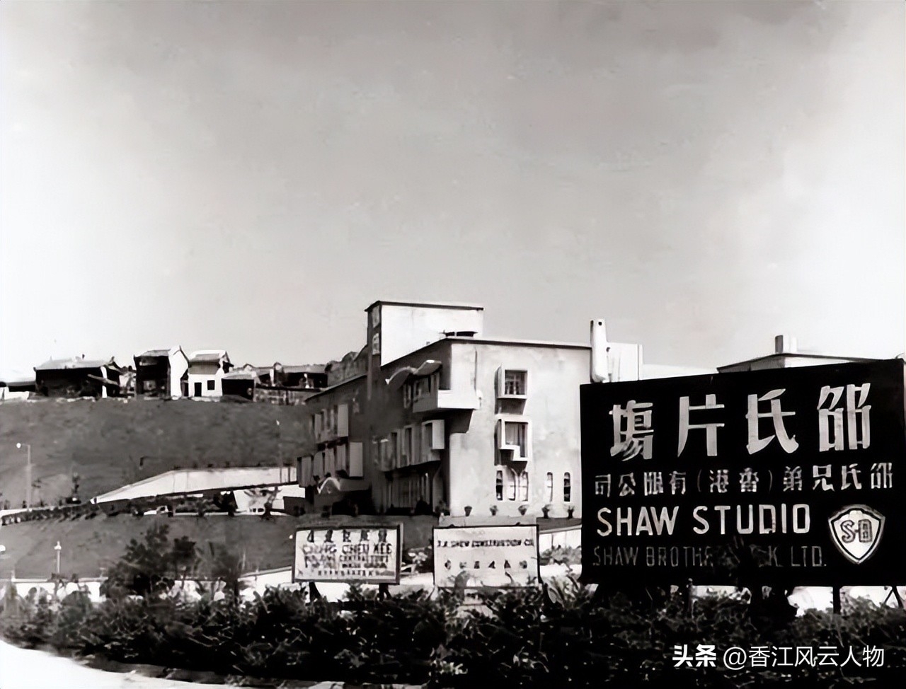 “豪哥”狄龙资料：张彻第二代弟子，与姜大卫决裂，一生只爱一个人