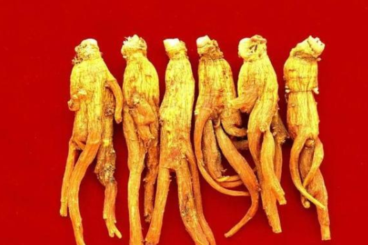 韩国为什么叫棒子