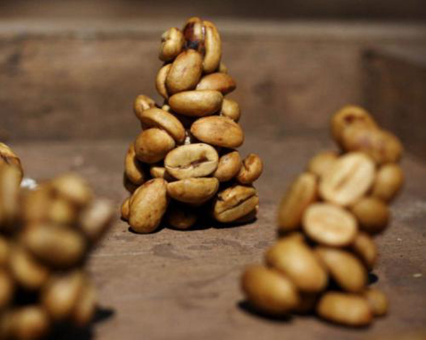 猫屎咖啡真的是猫屎吗?猫屎咖啡的由来(价格不菲)