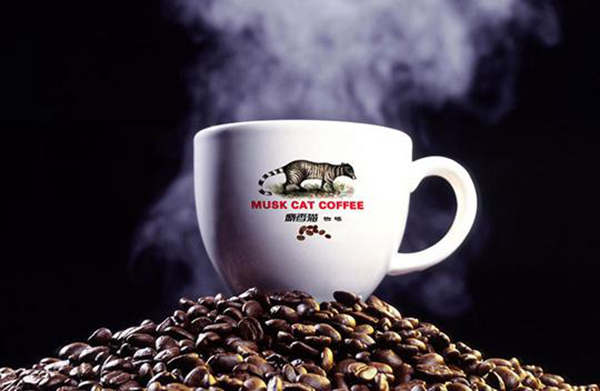猫屎咖啡真的是猫屎吗?猫屎咖啡的由来(价格不菲)