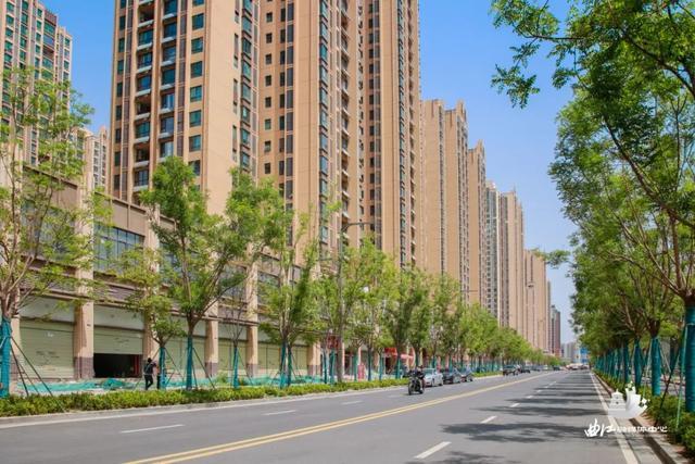 西康高速东辅道,加速建设中……-