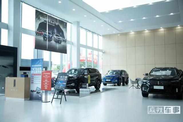 嘉诚汽车王敦海:中国豪华车市场,一定有WEY一席之地-