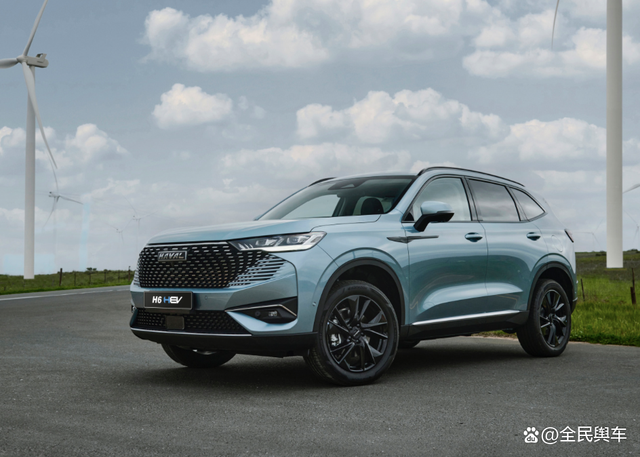 1月SUV销量榜:Model Y排第六位,比亚迪元PLUS增幅最大?-