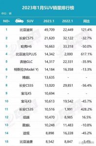 ​1月SUV销量榜：Model Y排第六位，比亚迪元PLUS增幅最大？
