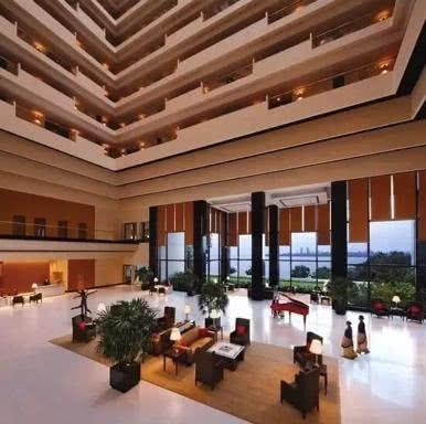 印度富商超马云成亚洲首富,60亿打造豪宅买飞机钻石跑车就为宠妻-