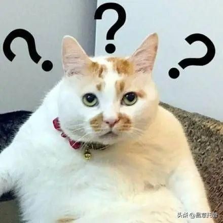 进口报关单证 进口报关单证鉴定真伪费用怎么算的-第1张图片-