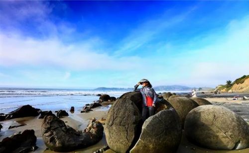 新西兰国家概况介绍(新西兰国家概况英文)-第2张图片-