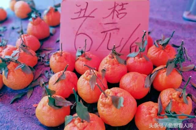 丑橘是凉性的还是热性的-(丑桔是凉性还是热性)