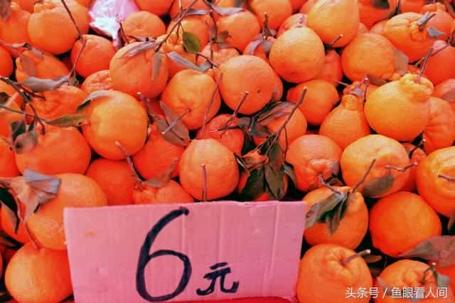 丑橘是凉性的还是热性的-(丑桔是凉性还是热性)