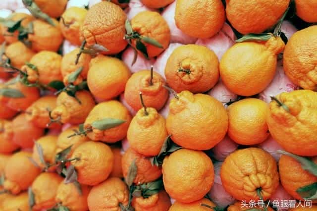 丑橘是凉性的还是热性的-(丑桔是凉性还是热性)