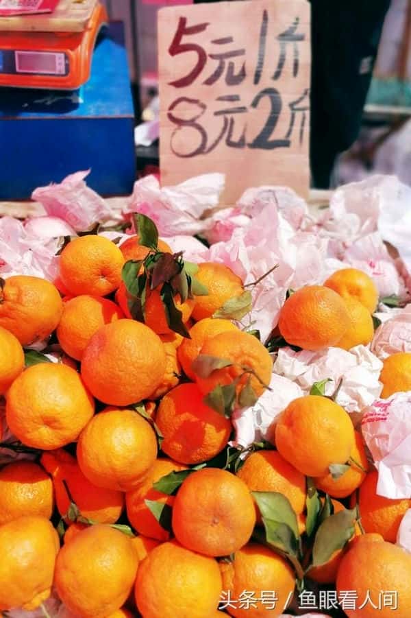 丑橘是凉性的还是热性的-(丑桔是凉性还是热性)